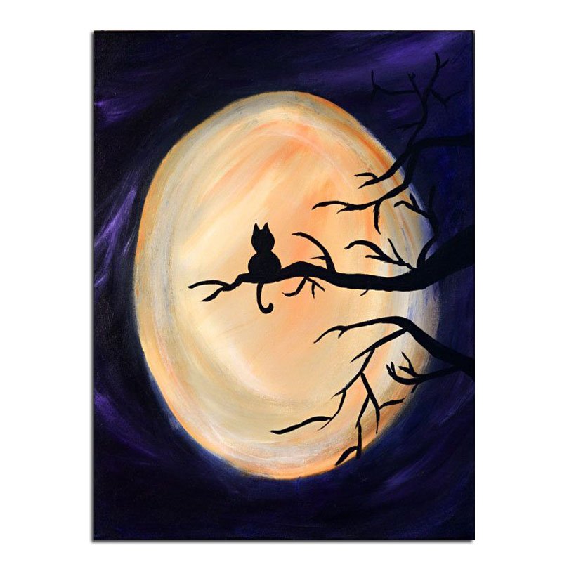 Black Cat Nightfall