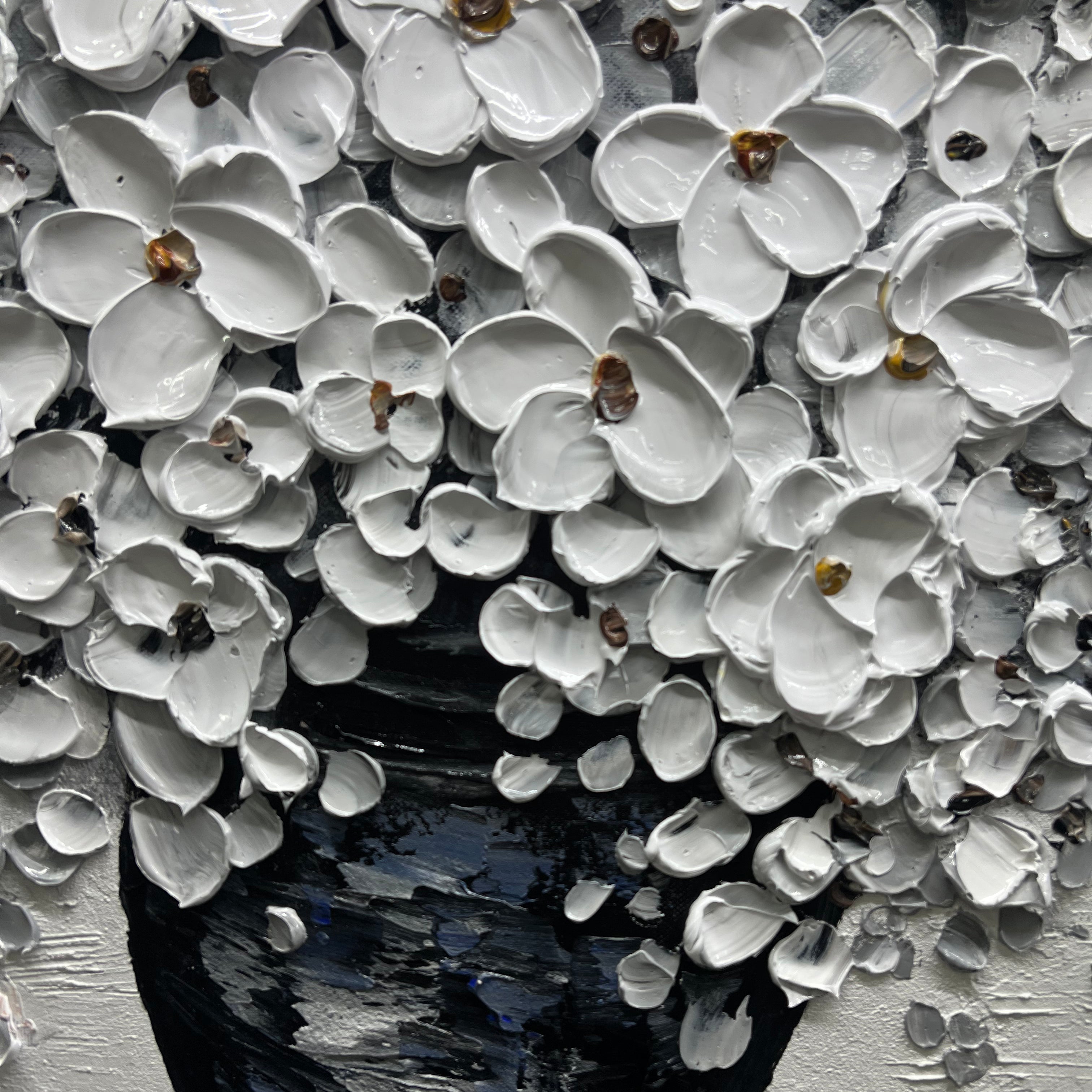 Plumeria's