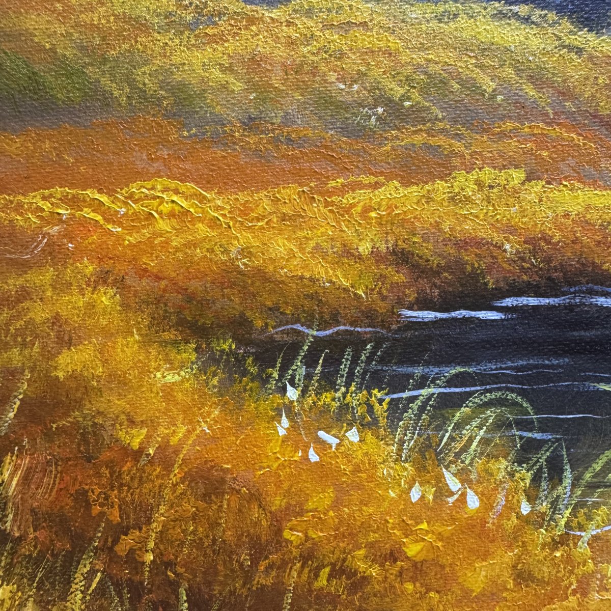 Colorado Highlands