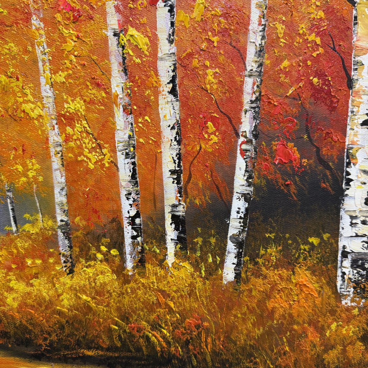 Colorado Highlands