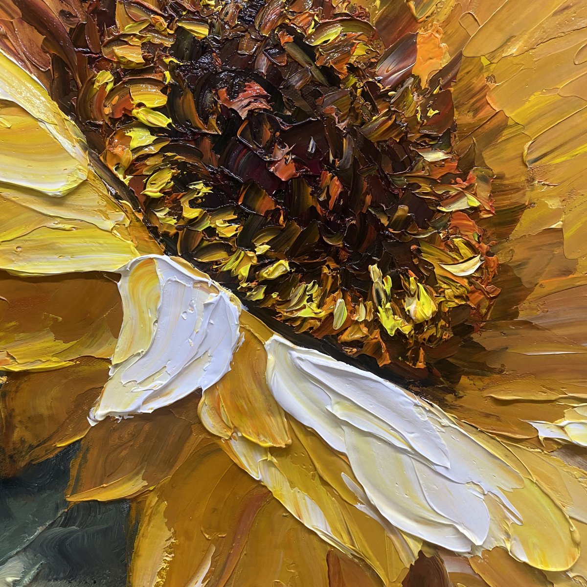Blume der Sonne