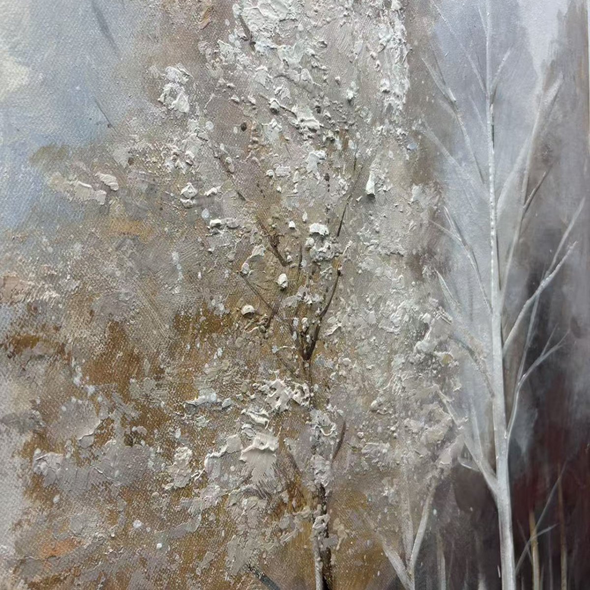 Forest in Winter