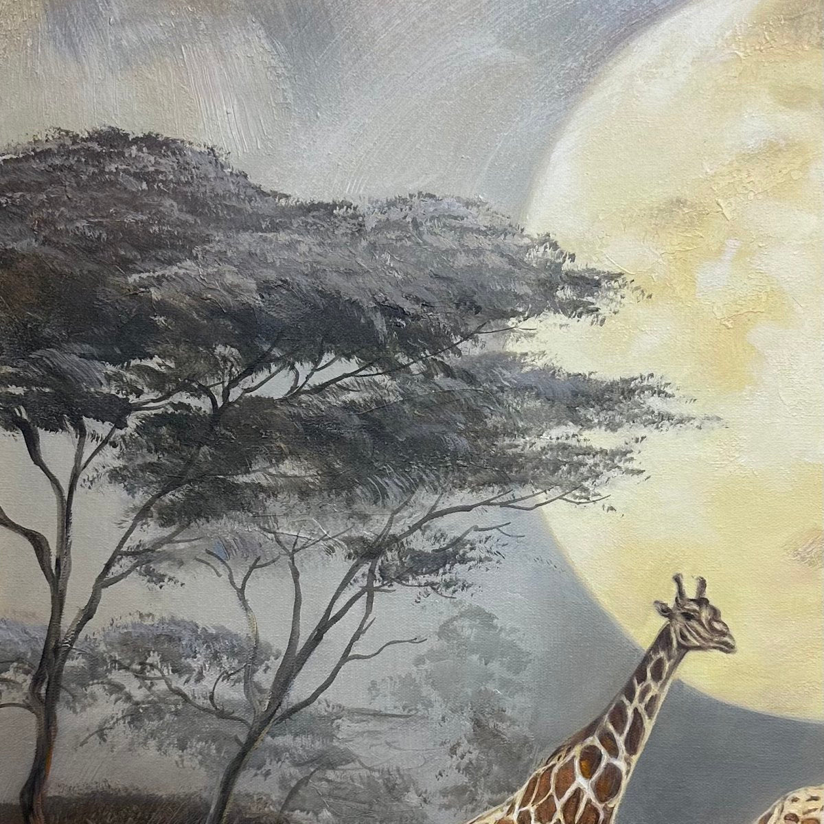 Safari