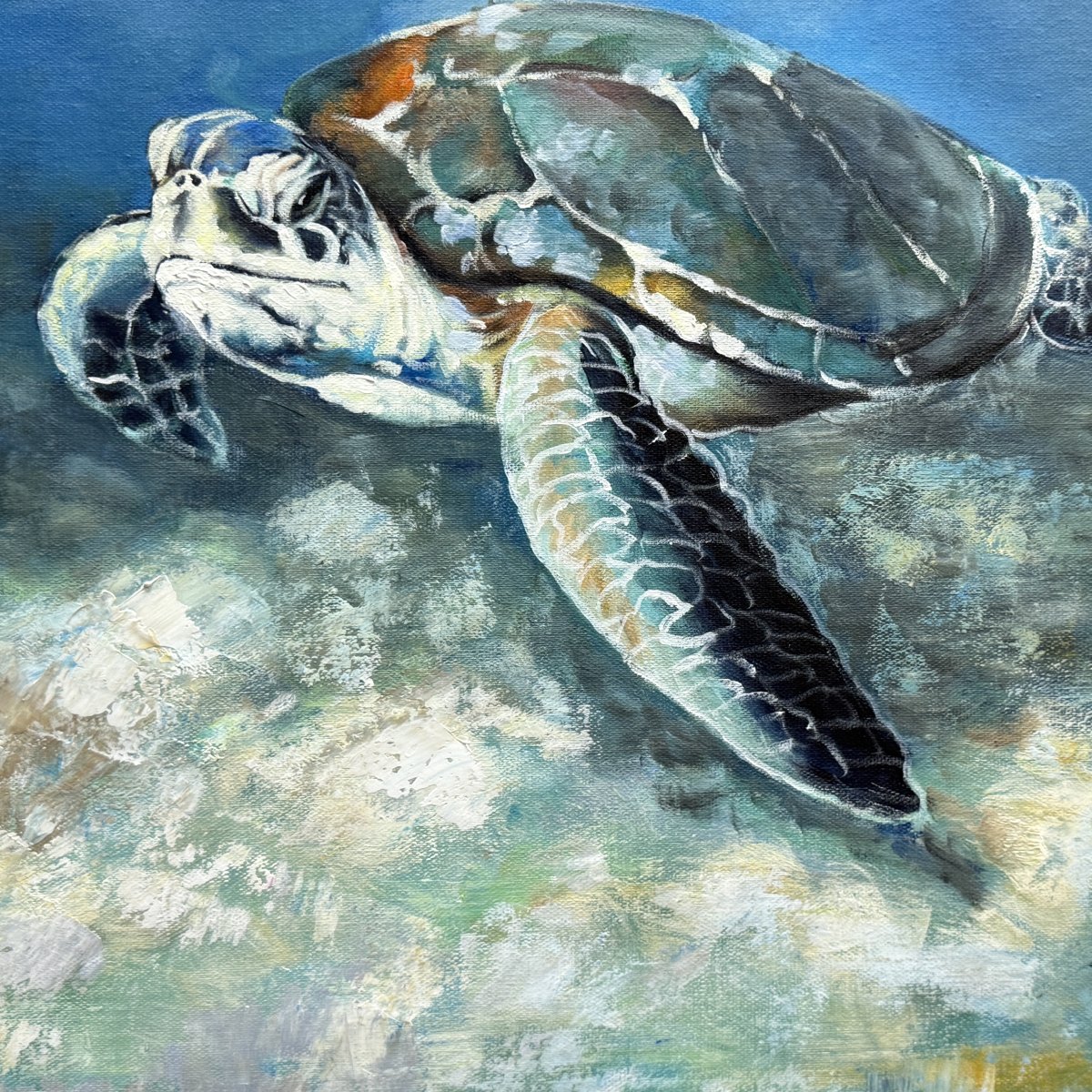 Sally la tortuga marina
