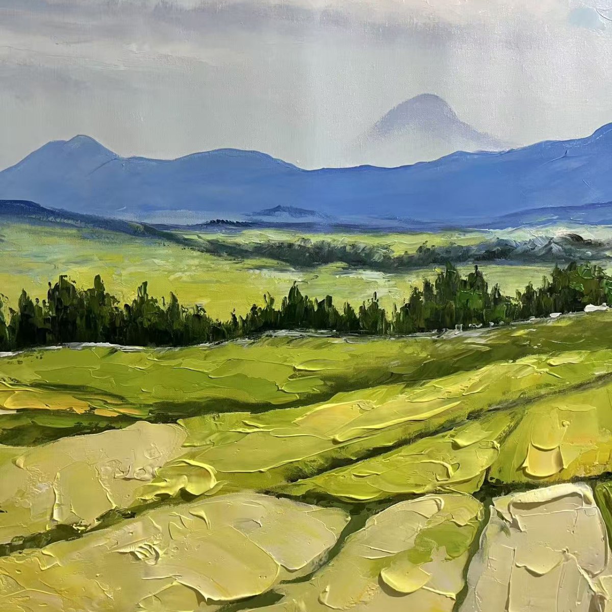 Sapa