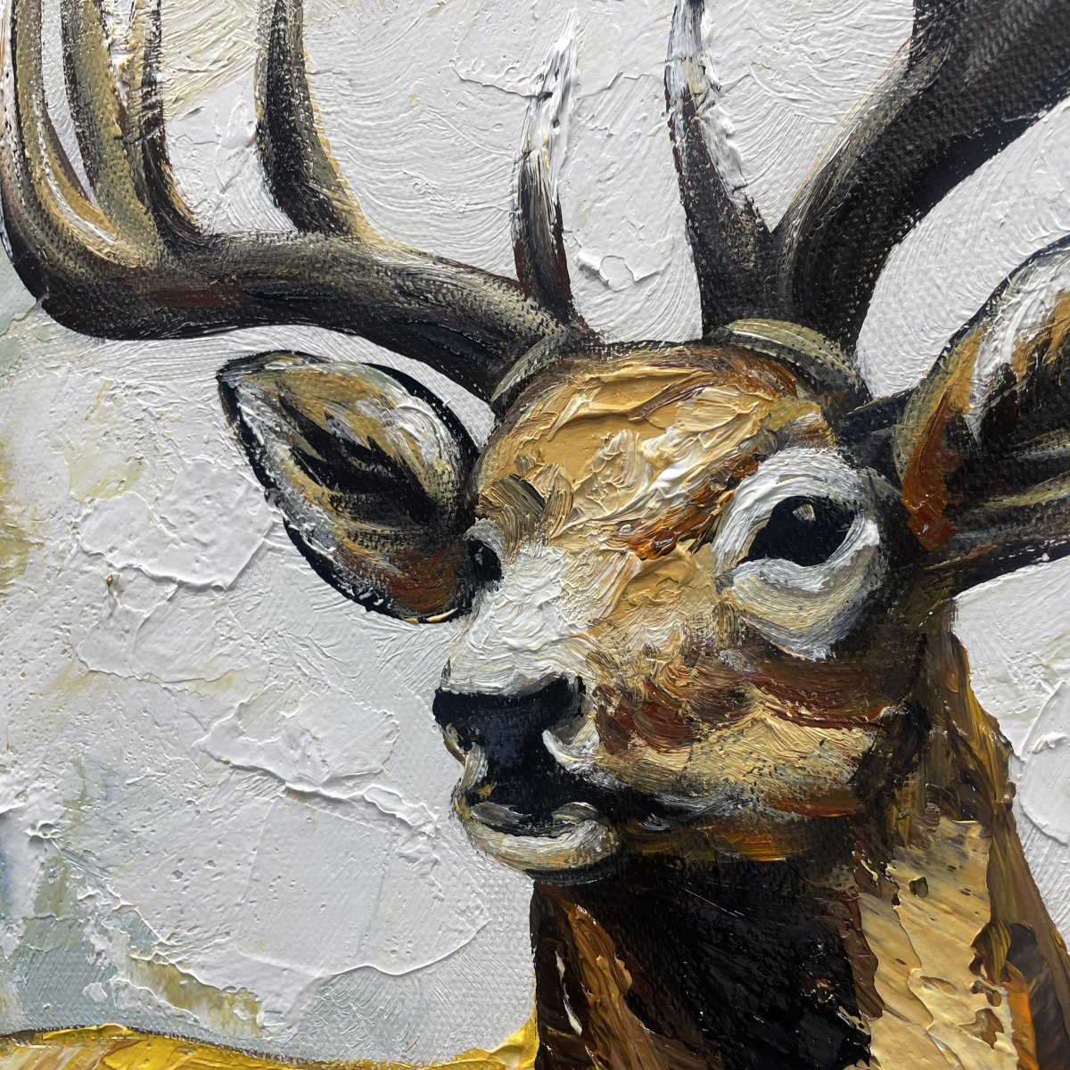 Der Hirsch im Scheinwerferlicht