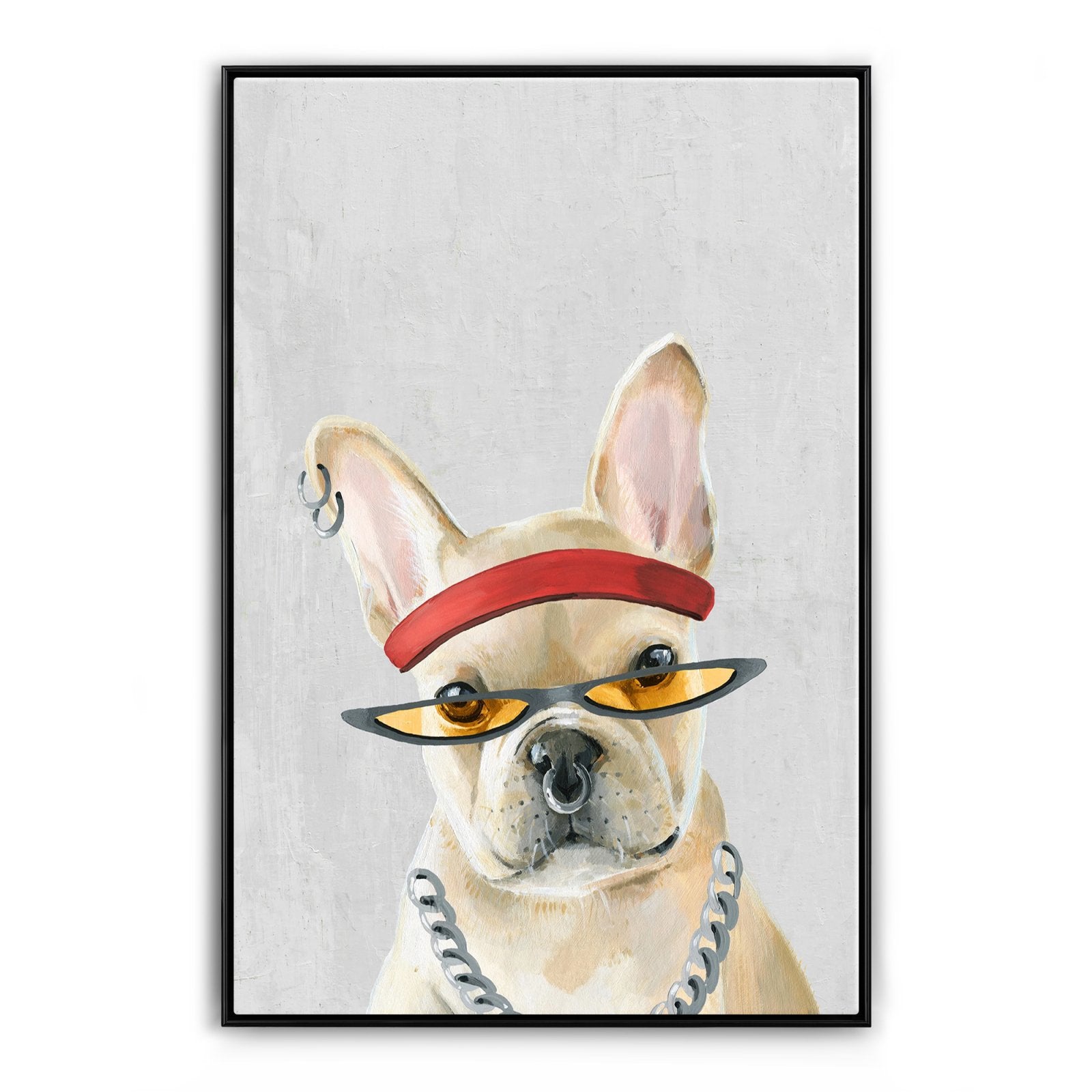 Dingo