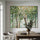 The Verdant Birches