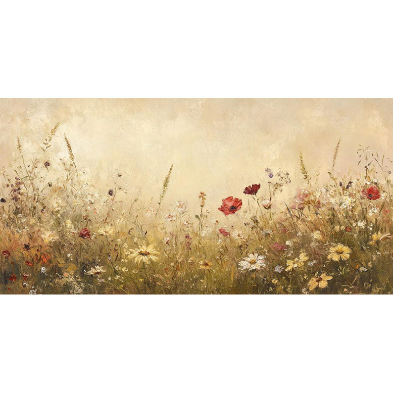 Un campo de sueños