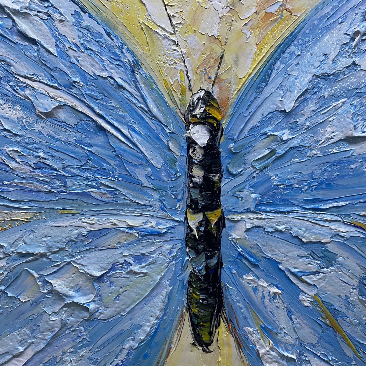Indigo Butterfly