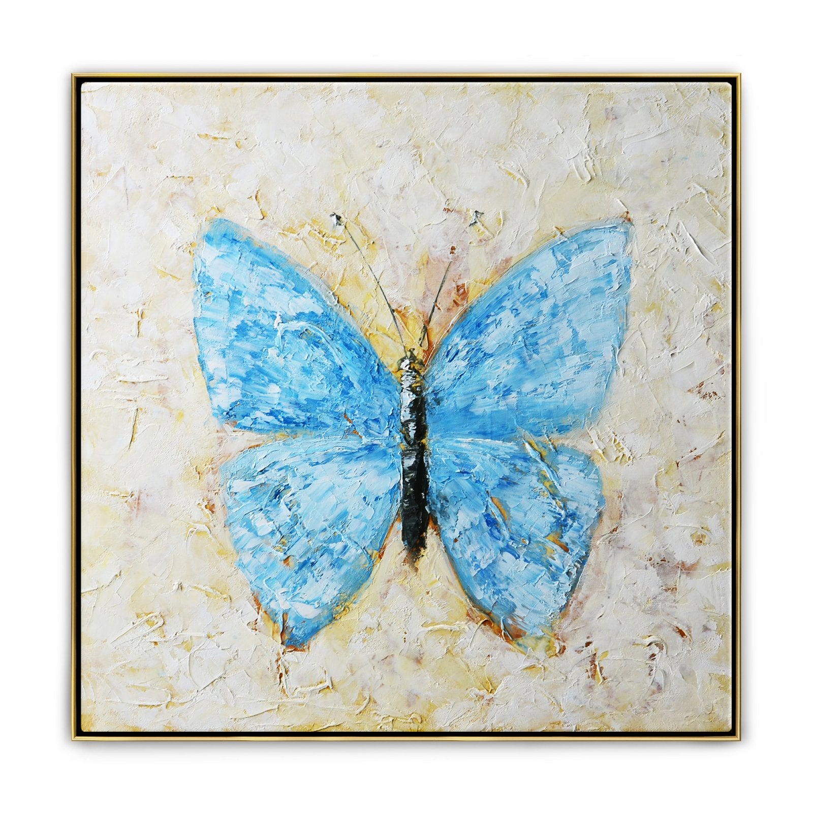 Indigo Butterfly