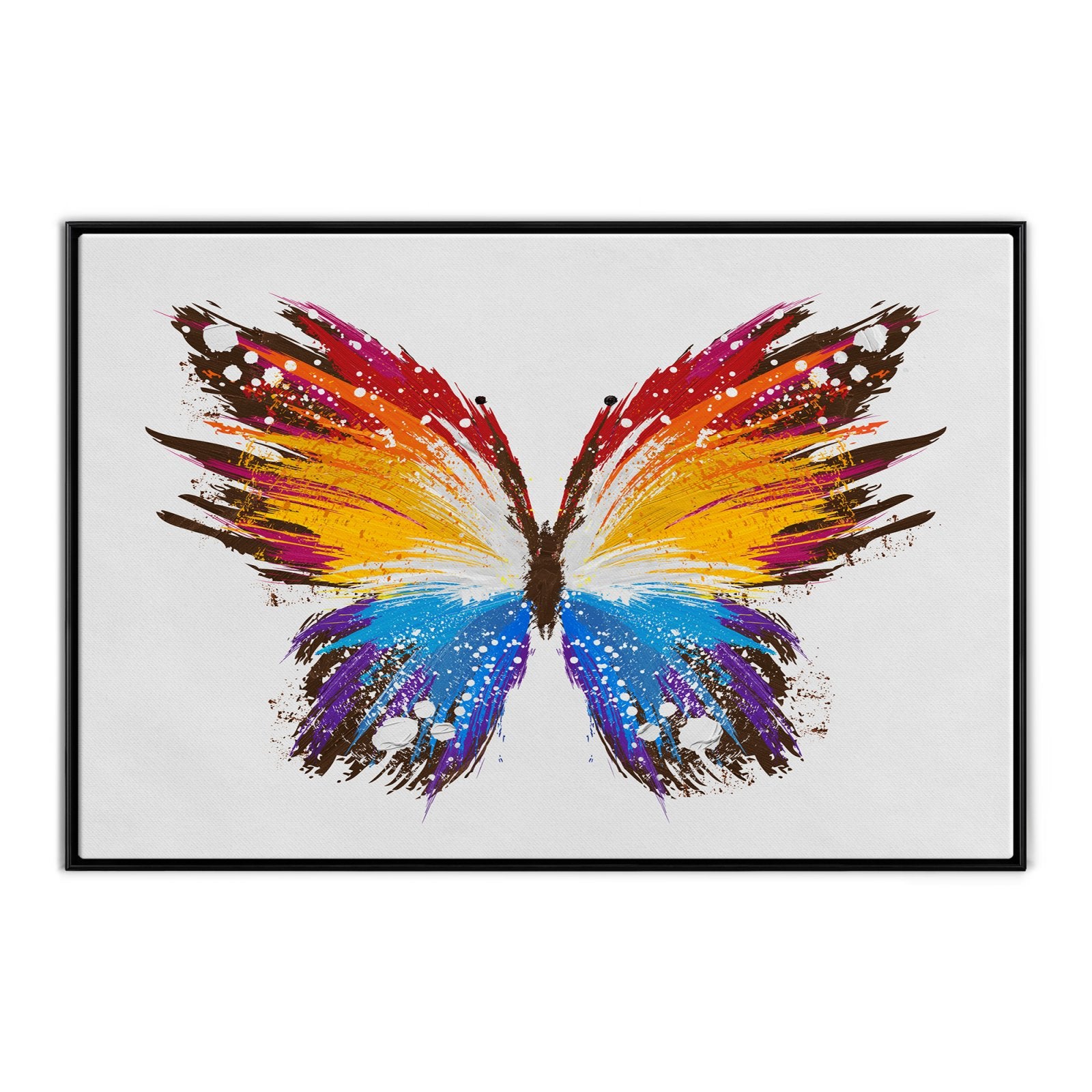 Le Papillon Coloré