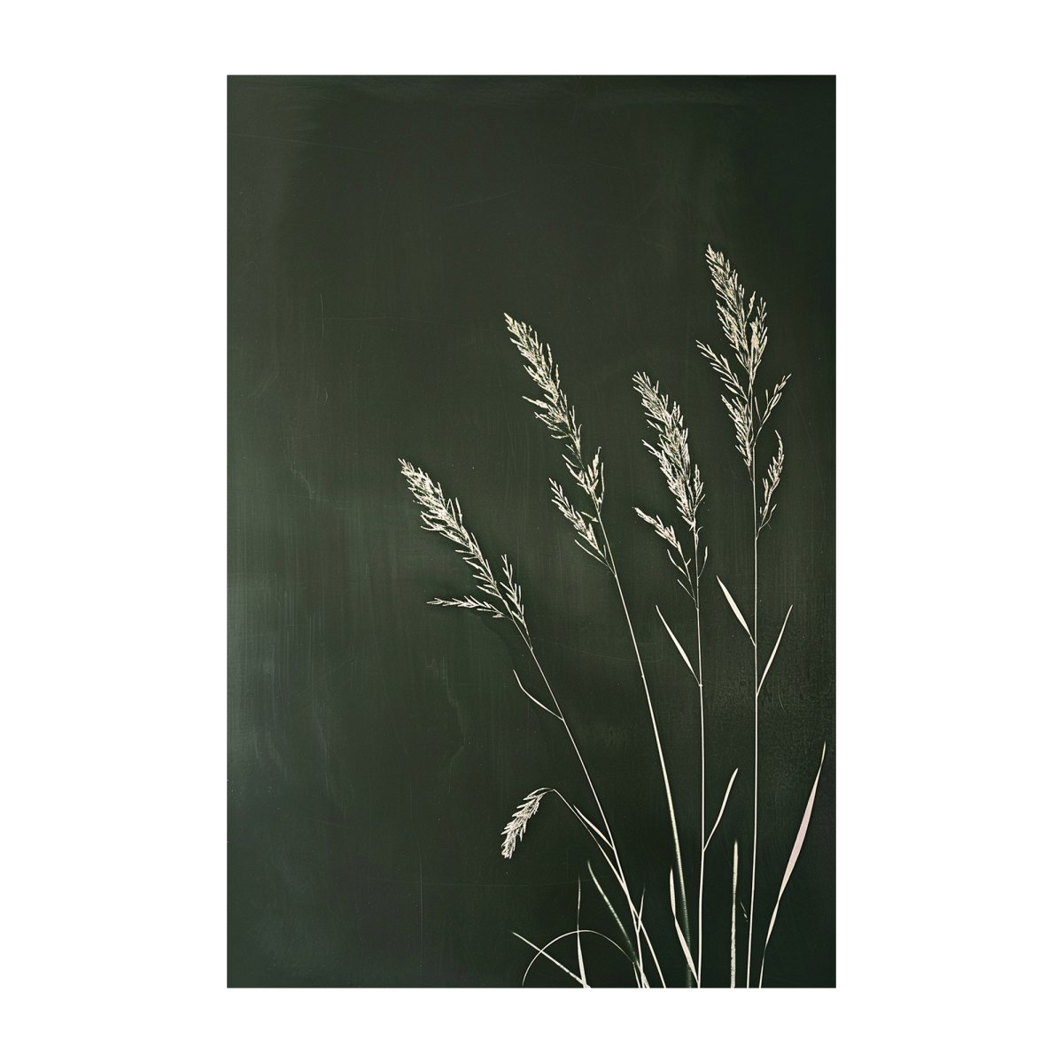 Stillgrass