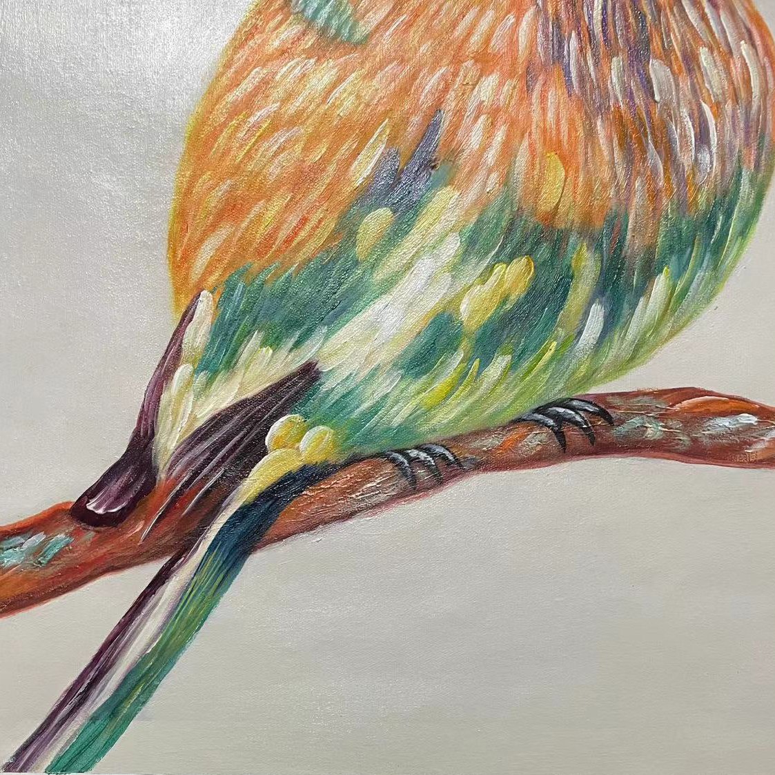 The Beautiful Robin