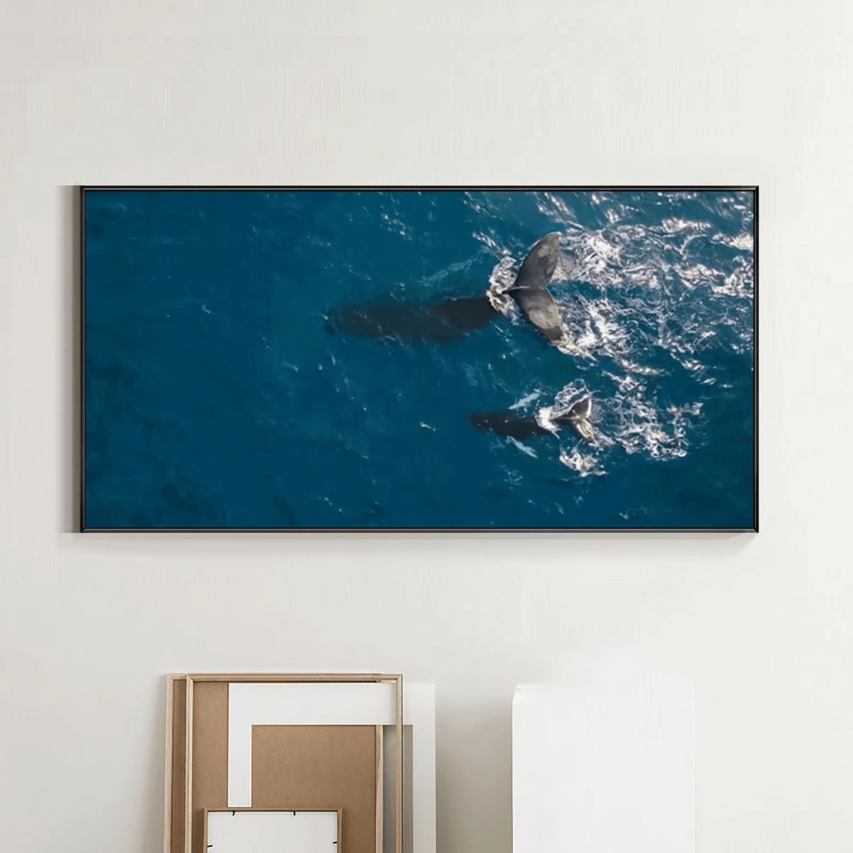Ballenas errantes