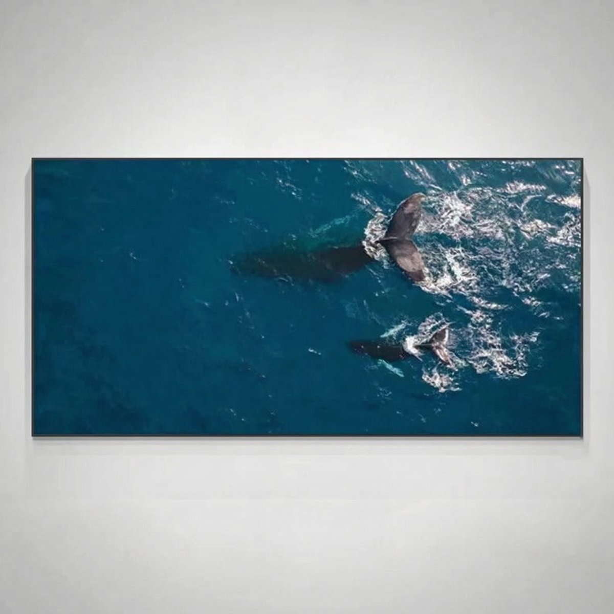 Ballenas errantes