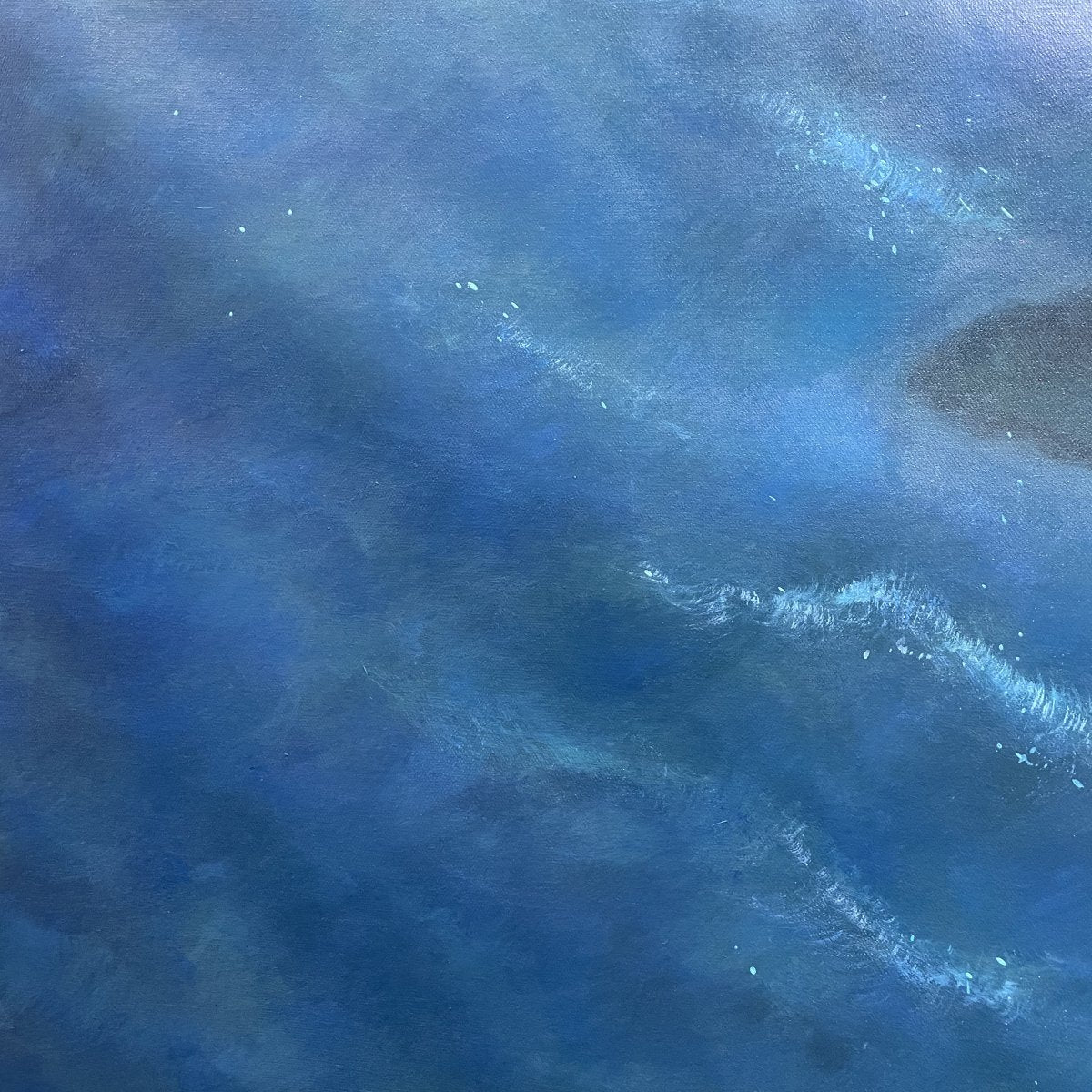 Wandering Whales